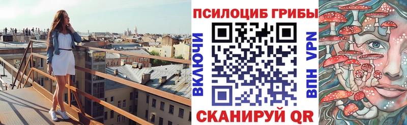 Галлюциногенные грибы Psilocybe Лыткарино